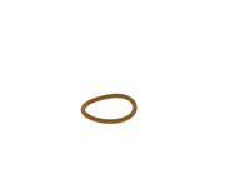 Bosch 2 260 210 310 O-Ring