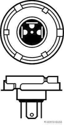 HERTH+BUSS ELPARTS 89901090 Glühlampe